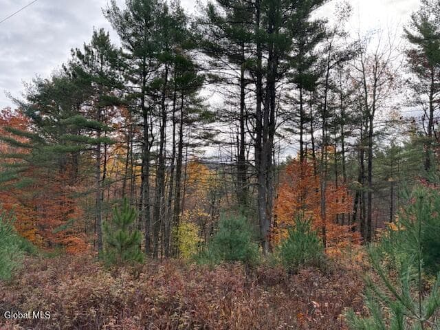 954A Route 9N, photo 5