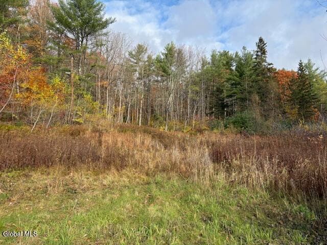 954B Route 9N, photo 1