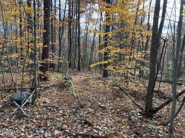 954B Route 9N, photo 4