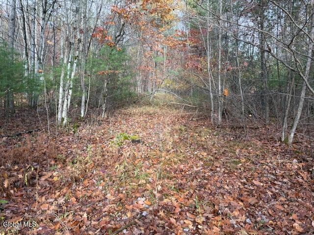 954B Route 9N, photo 5