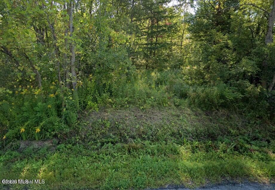 17 N Main Street, Voorheesville, NY 12186