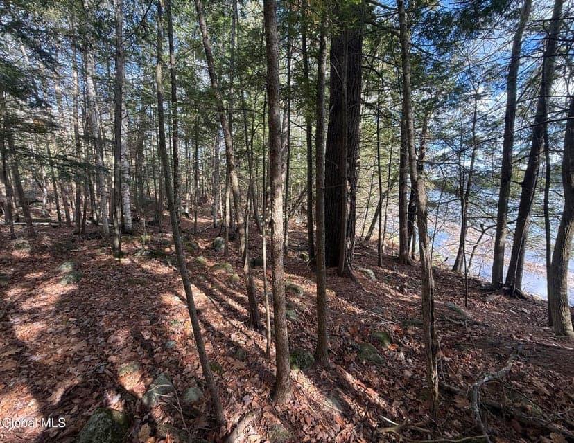 23 Teds Way, Bolton, NY, photo 4