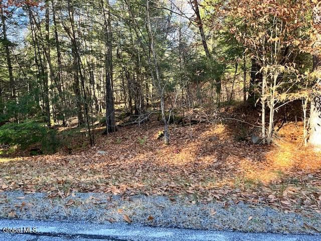 L5.322 South Trout Lake Road, Bolton, NY, photo 1