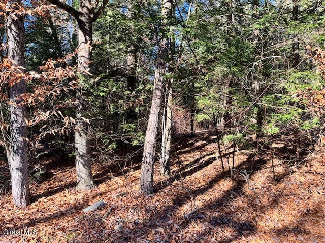 L5.322 South Trout Lake Road, Bolton, NY, photo 2