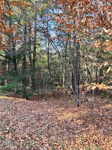 L5.322 South Trout Lake Road, Bolton, NY, photo 3