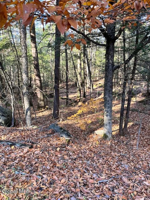 L5.322 South Trout Lake Road, Bolton, NY, photo 4