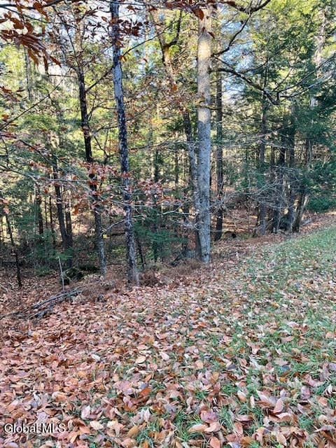 L5.322 South Trout Lake Road, Bolton, NY, photo 5