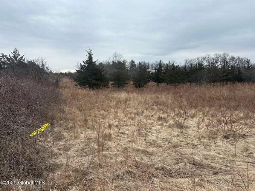 97 Hillside Drive, photo 2