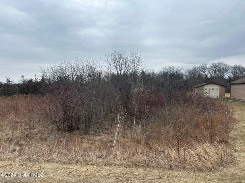 97 Hillside Drive, photo 3
