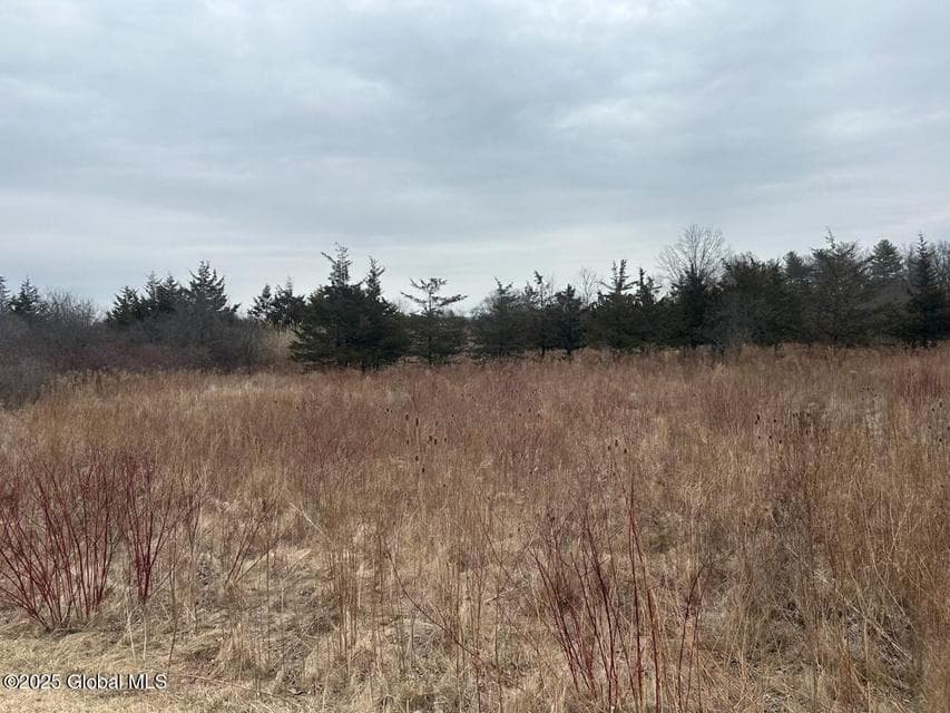 97 Hillside Drive, photo 4