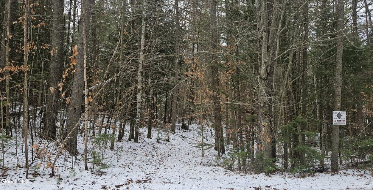183 Mountain Path, Johnsburg, NY, photo 2