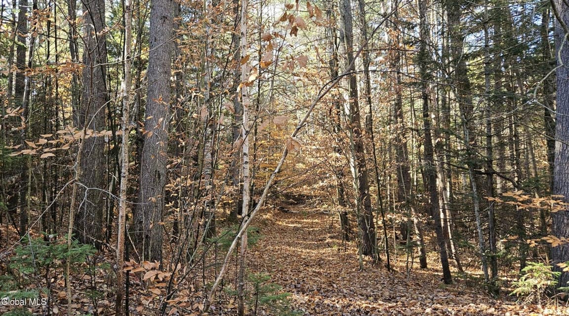 183 Mountain Path, Johnsburg, NY, photo 1