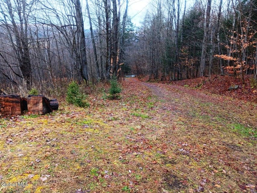575 Hollenbeck Road, photo 3