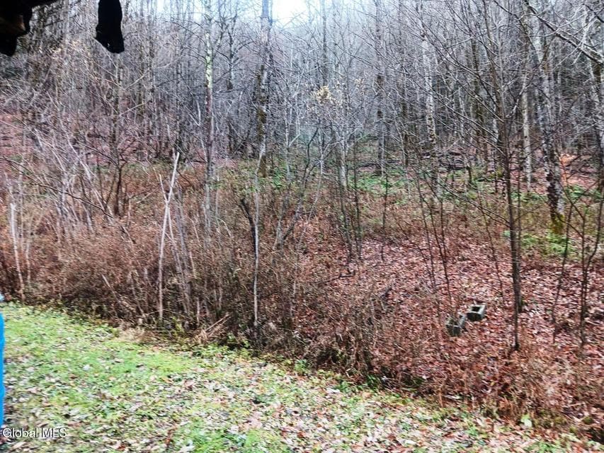 575 Hollenbeck Road, photo 4