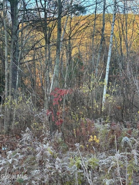 L8 US-9, Lake George, NY, photo 5