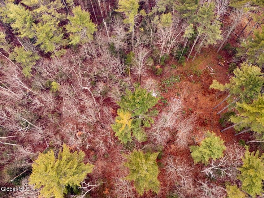 206 Mountain Path, photo 5