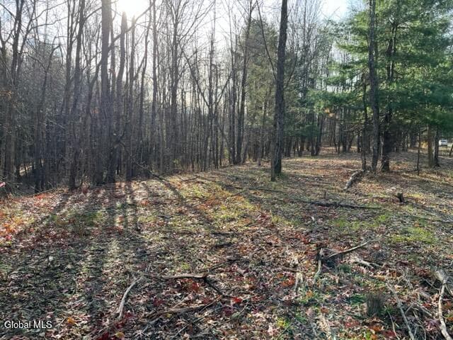L10 County Route 51, photo 5