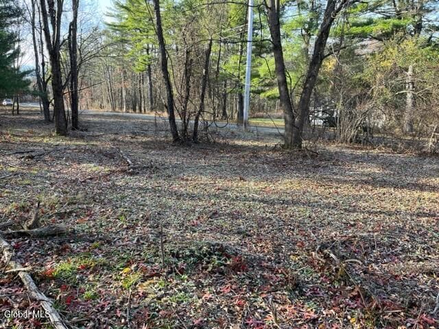 L10 County Route 51, photo 3