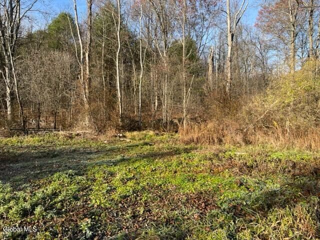 L10 County Route 51, photo 2