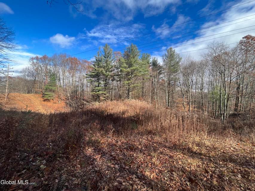 L38.11 Spring Ave Ext E, photo 4