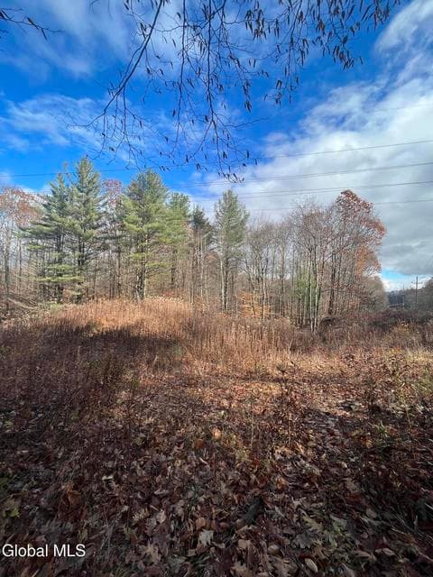 L38.11 Spring Ave Ext E, photo 5