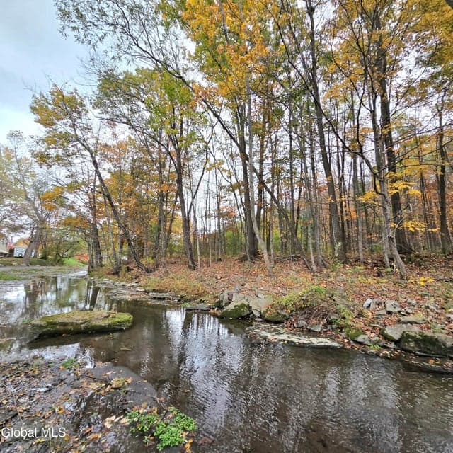 L53 Tarrytown Road, photo 2
