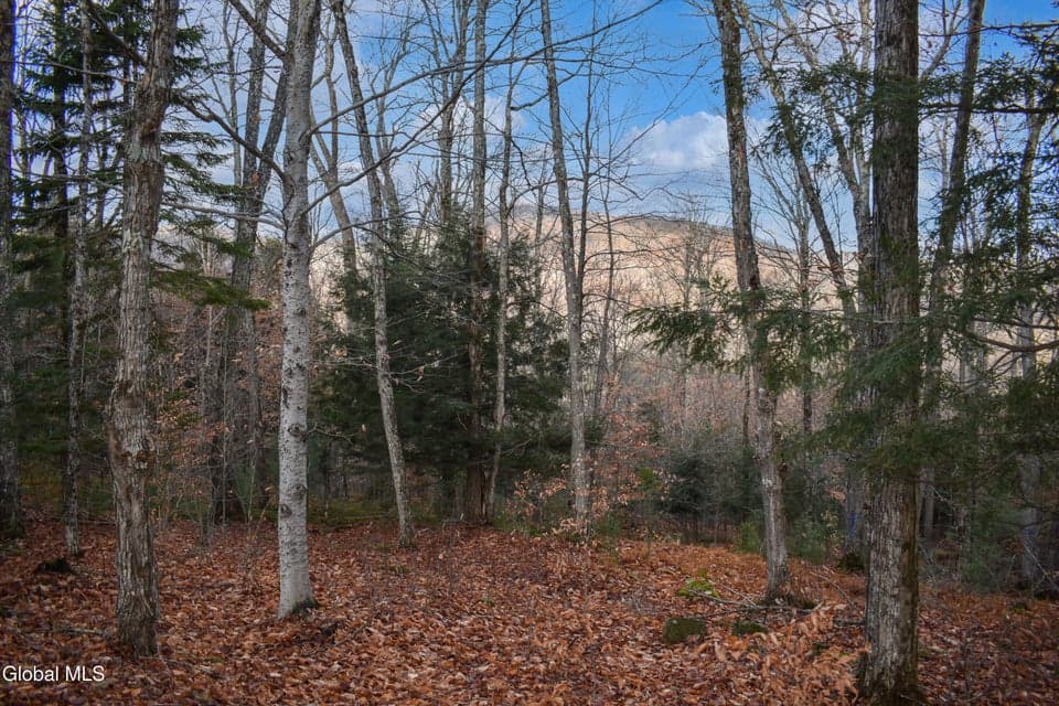 L30.11 4H Road, photo 5