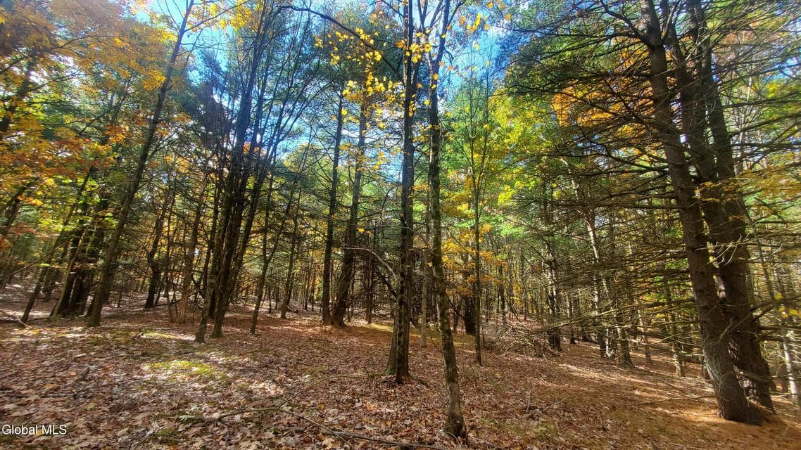 L25 Fischer Road, photo 2