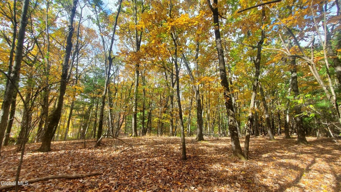 L25 Fischer Road, photo 5