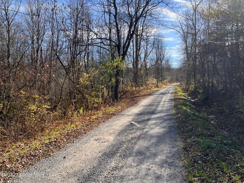 L13 W Woodstock Road, Berne, NY 12023, photo 2