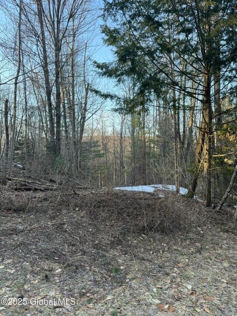 132 Wesskum Woods Road, photo 4
