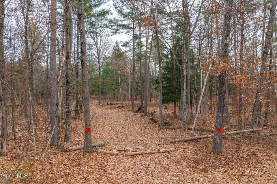 415 Big Boom Road, photo 2