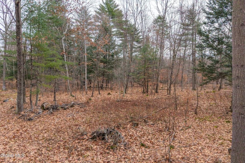 415 Big Boom Road, photo 3