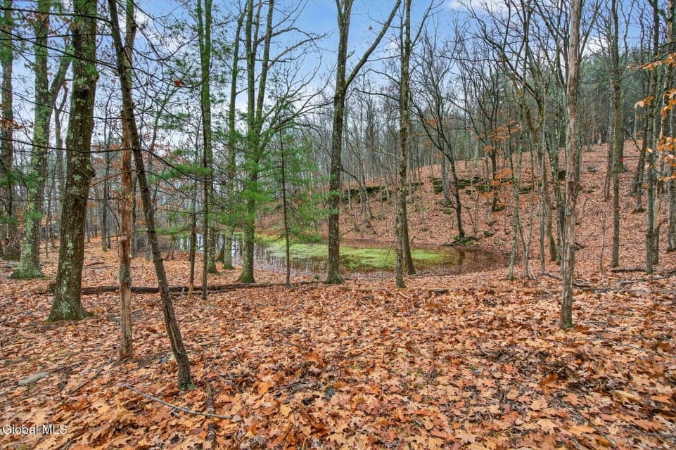 308 Shady Glen Road, photo 5