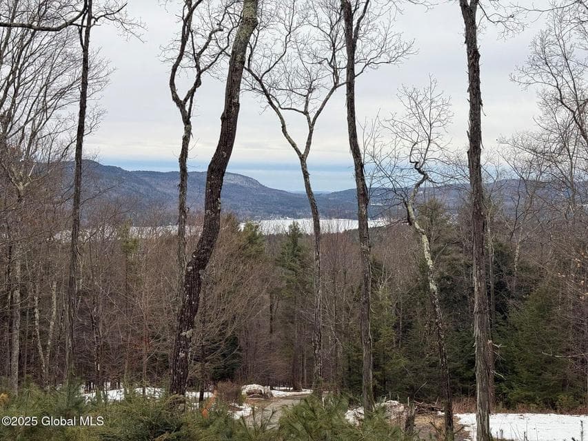L43.2 Travis Trail, photo 2