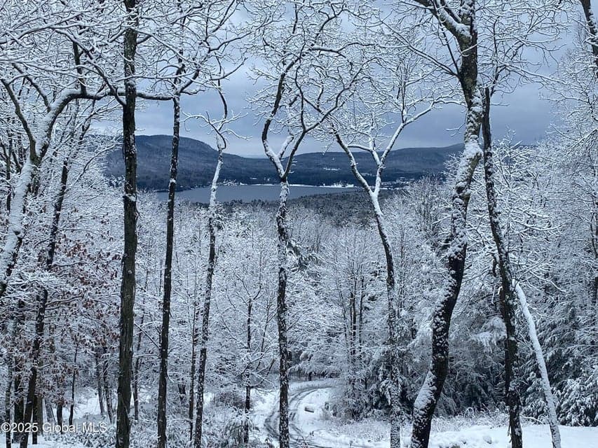 L43.2 Travis Trail, photo 3