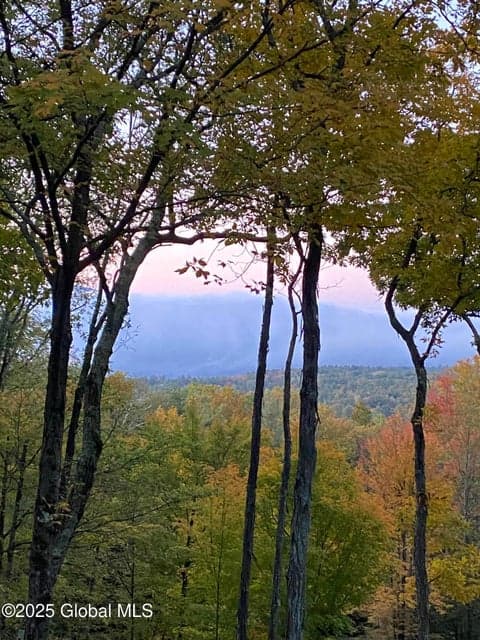 L43.2 Travis Trail, photo 4