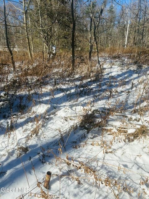 8976 Graphite Mountain Road, photo 4