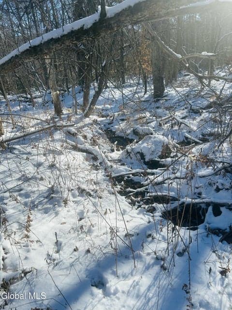 8976 Graphite Mountain Road, photo 5