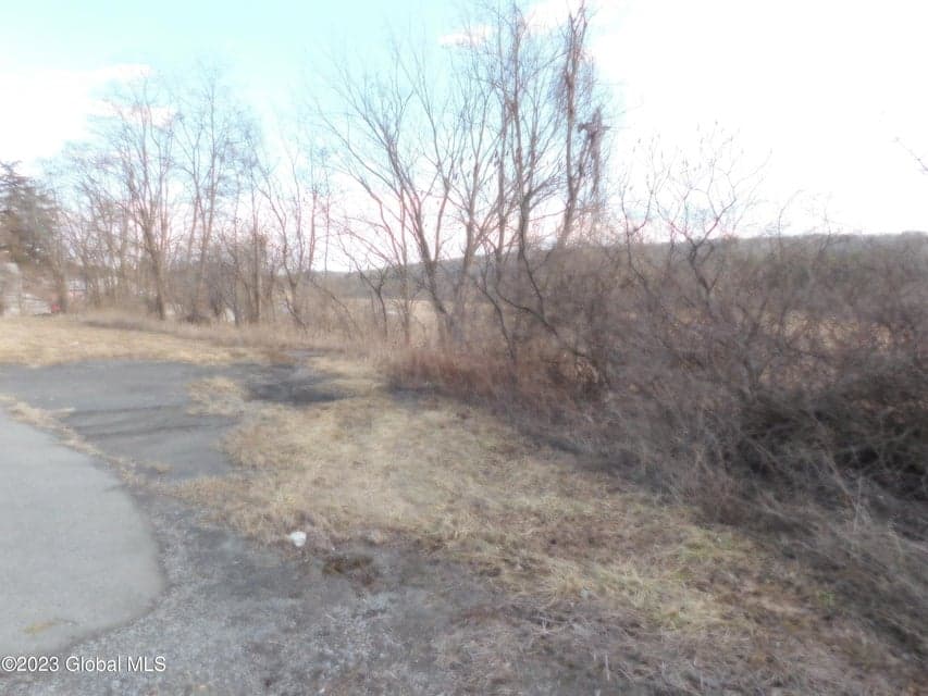 6921 Duanesburg Road, photo 4