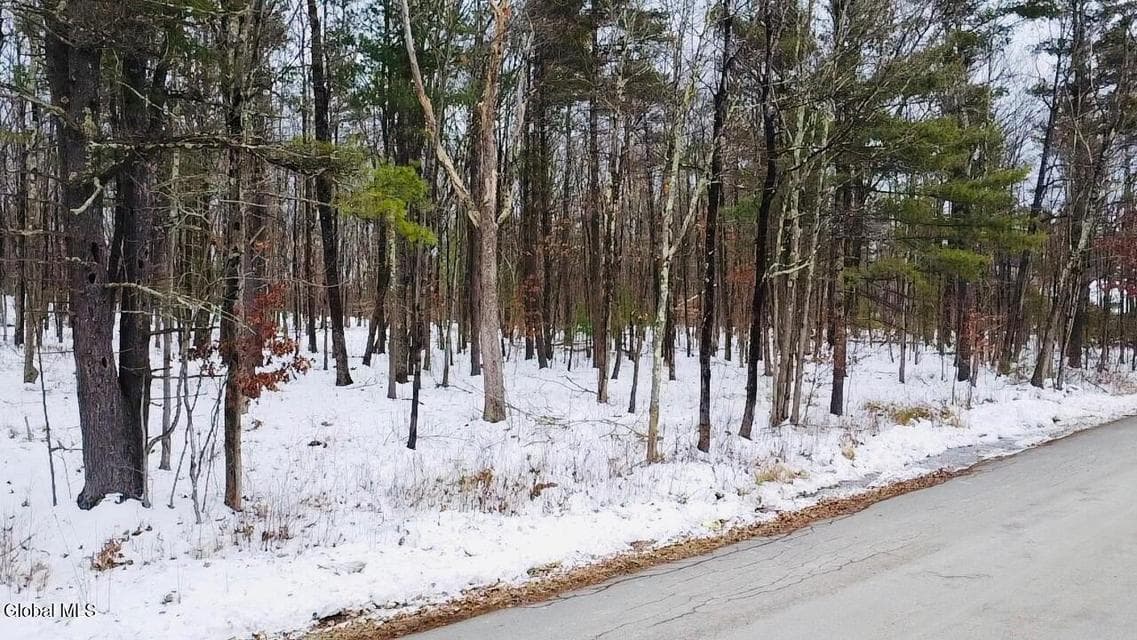 48 Mountain View Drive, photo 5