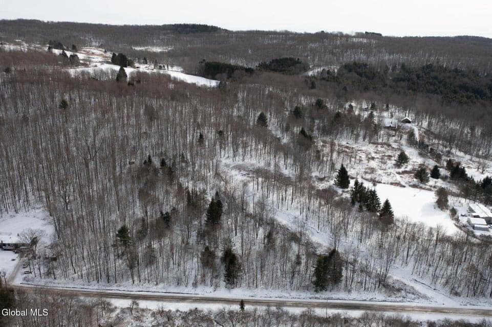 L3.7 Pine Swamp Road, photo 4