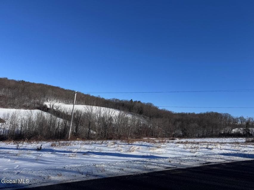 L 1 Johnson Hill, photo 2