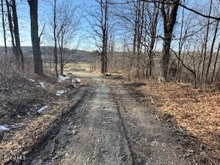 37 Center Lane, photo 3