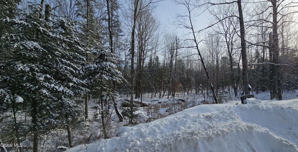 167 Park, Johnsburg, NY, photo 3