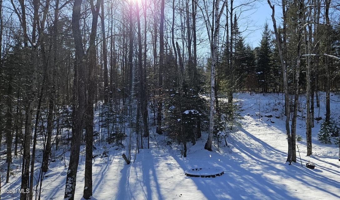 167 Park, Johnsburg, NY, photo 2