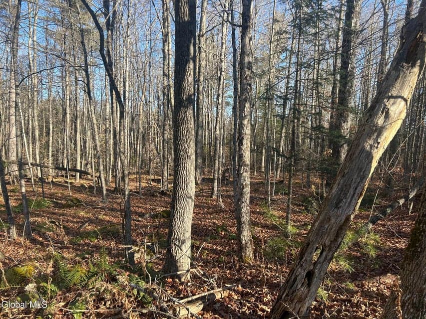3171 NY-8, photo 1