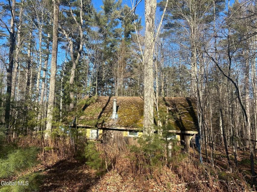 3171 NY-8, photo 2