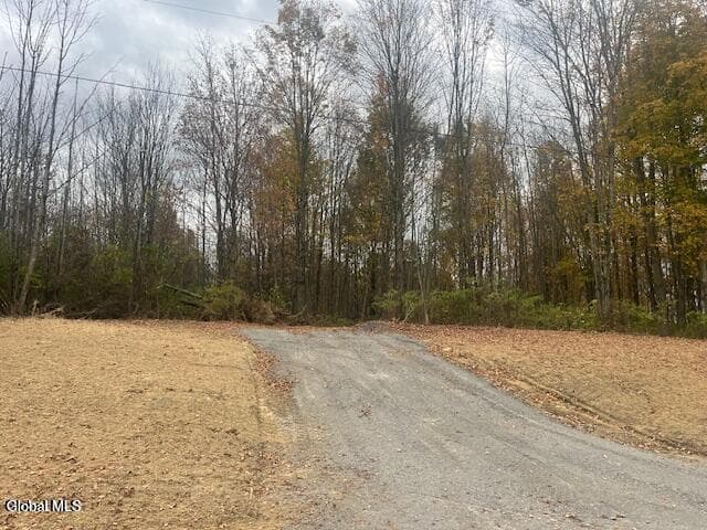 811 Corbin Hill Road, photo 3