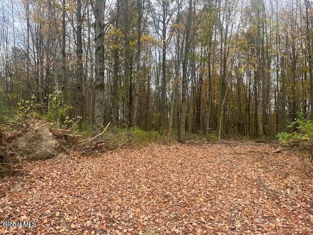 811 Corbin Hill Road, photo 5